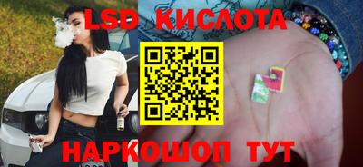 трава Кандалакша
