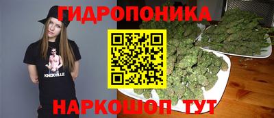 jwh Канаш