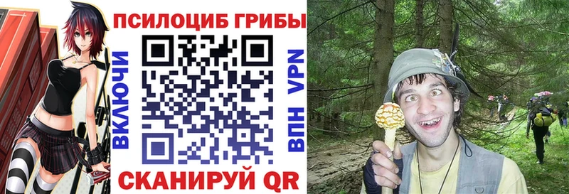 Галлюциногенные грибы MAGIC MUSHROOMS  сколько стоит  Заволжье 