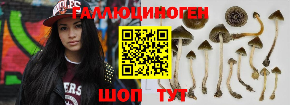 Галлюциногенные грибы MAGIC MUSHROOMS Заволжье
